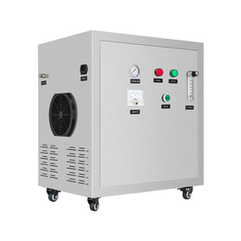 Flygoo 95% Purity PSA Industrial Oxygen Generator 10LPM