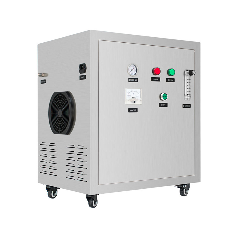 Flygoo 95% Purity PSA Industrial Oxygen Generator 10LPM