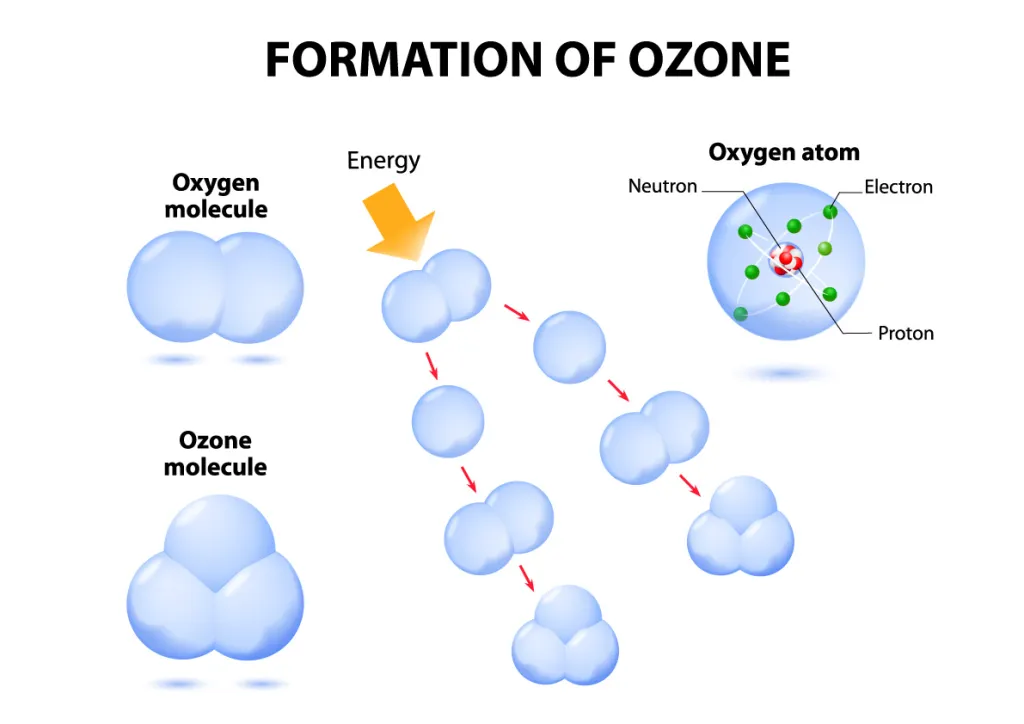 ozone molecule