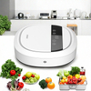 Home Portable Small Ozone Generator Water Cleaner Machine Vegetables and Fruits Purifier