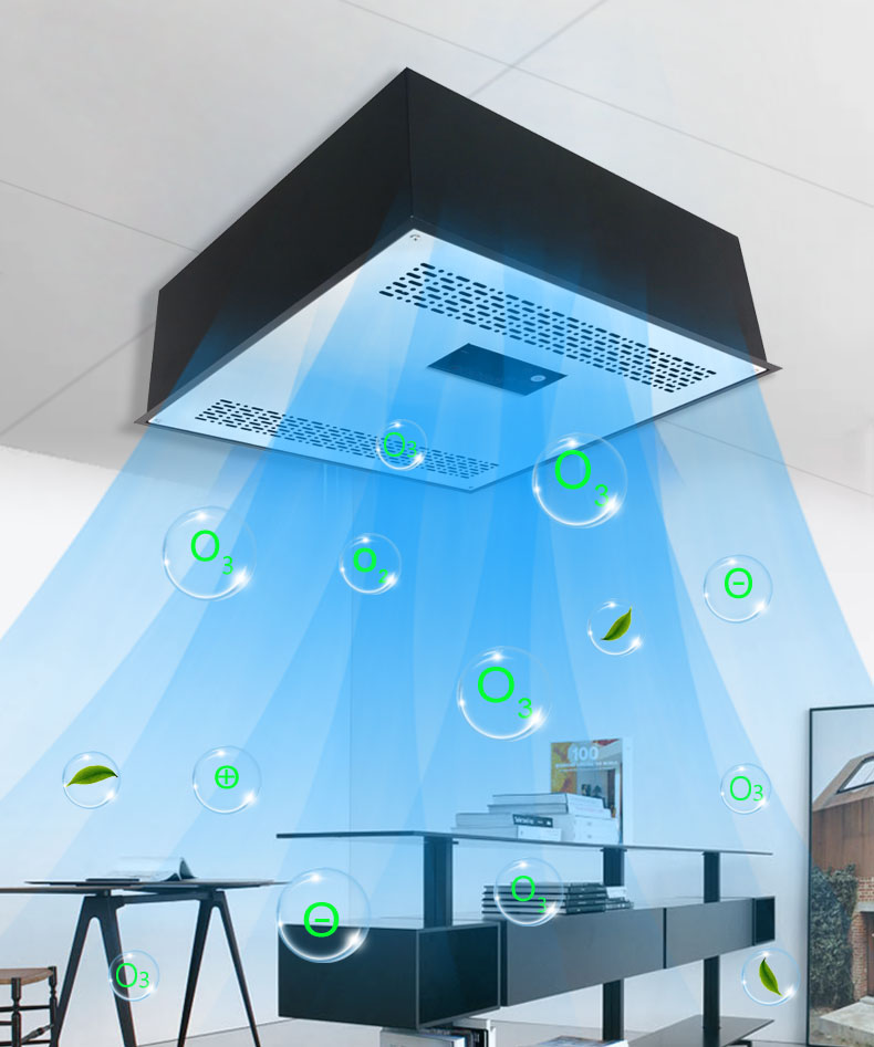 Commercial Ozone Generator Professional O3 Air Purifier Machine