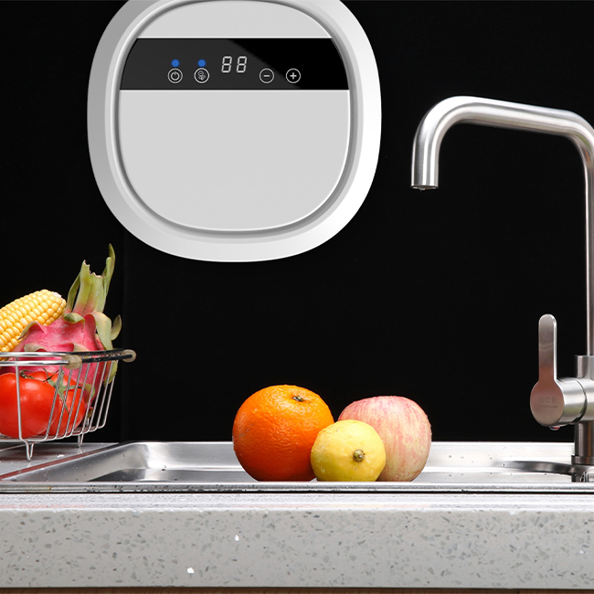 Home Portable Small Ozone Generator Water Cleaner Machine Vegetables and Fruits Purifier