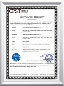 2020 FLYGOO ROHS CERTIFICATE