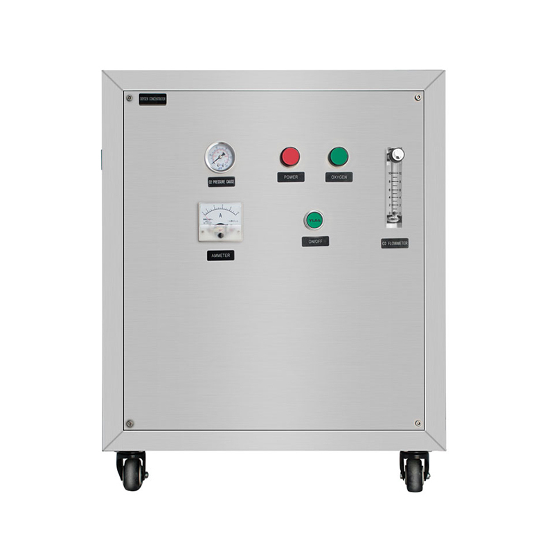 Flygoo 95% Purity PSA Industrial Oxygen Generator 10LPM