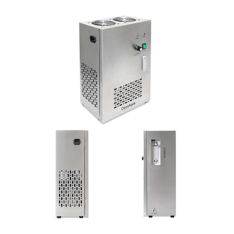 Flygoo China Air Source Portable Ozone Generator for Swimming Pool