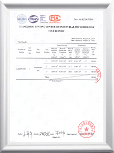Flygoo Ozone Killing Rate Staphylococcus Aureus 6538 003