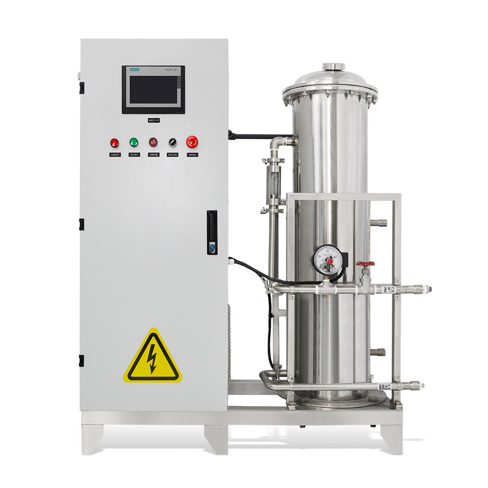 1kg 2kg 3kg Large Ozone Generator Water Purification System for Water Treatment