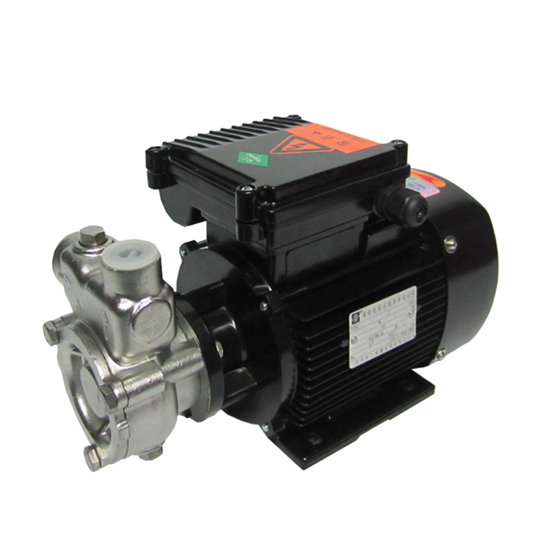 Stainless Steel 304 Ozone Water Mixing Pump Gas Liquid Pump