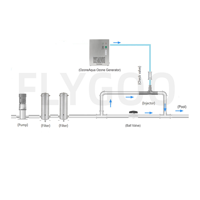 Flygoo China Air Source Portable Ozone Generator for Swimming Pool