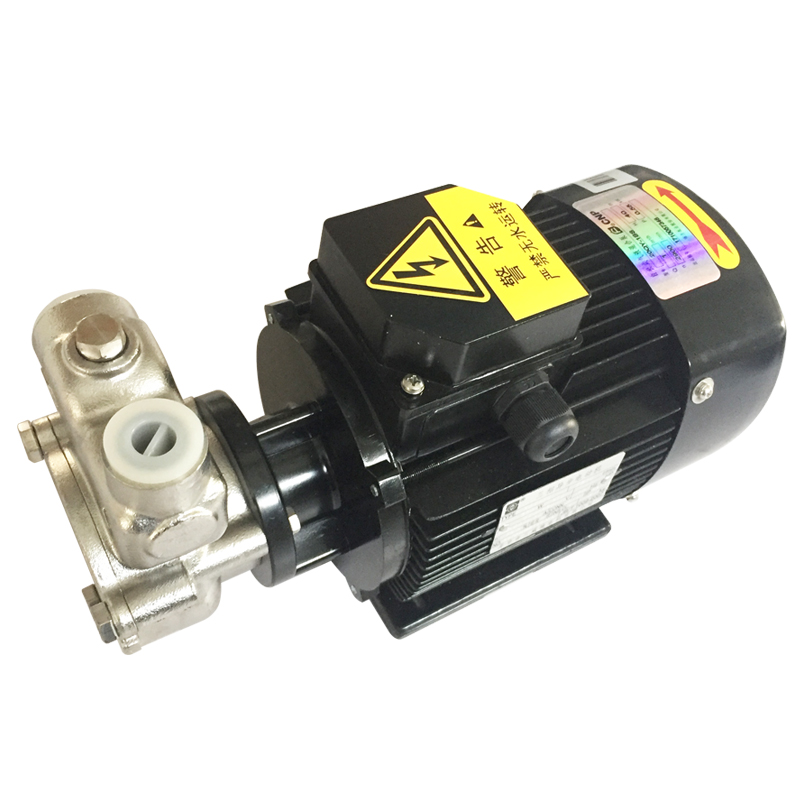 Stainless Steel 304 Ozone Water Mixing Pump Gas Liquid Pump