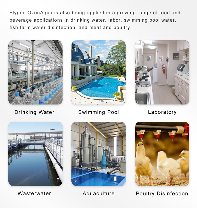 Ozone Generator Water Disinfection for Laundry and SPA