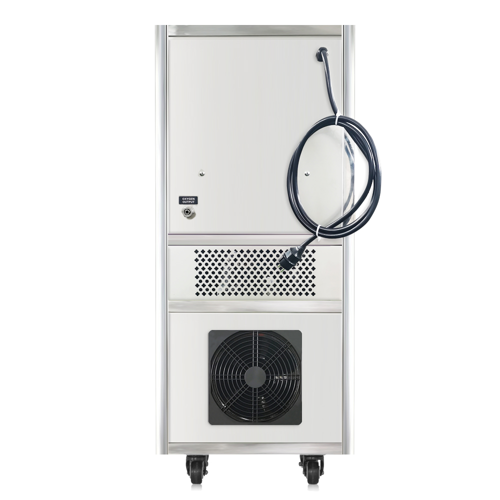 Industrial PSA 30L Oxygen Generator O2 Concentrator for Aquaculture Fish Pond Farming