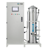 China Manufacturer 500G Ozone Generator for Water Treatment