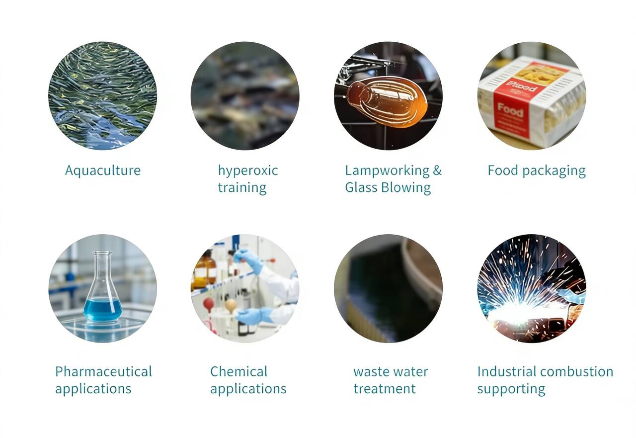 oxygen generator.jpg