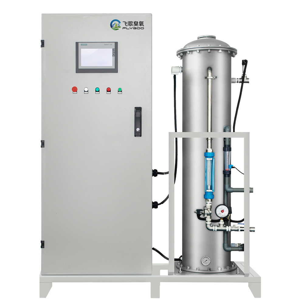 1kg 2kg 3kg Large Ozone Generator Water Purification System for Water Treatment