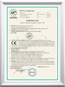 2020 FLYGOO CE CERTIFICATE