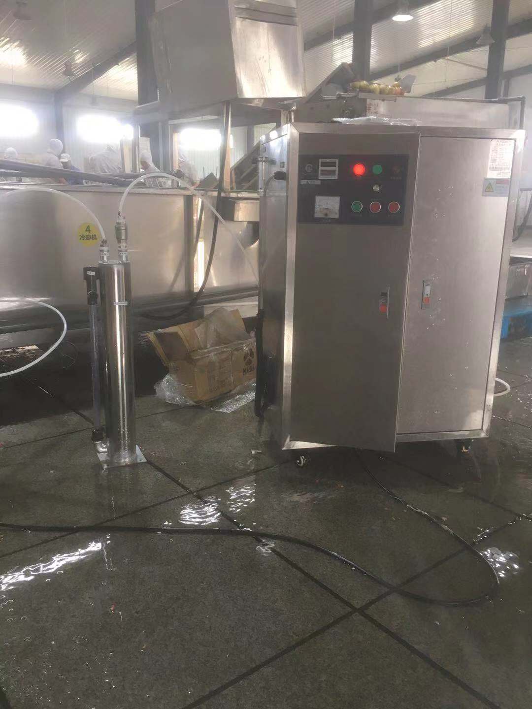 ozone generator for washing plant (6).jpg