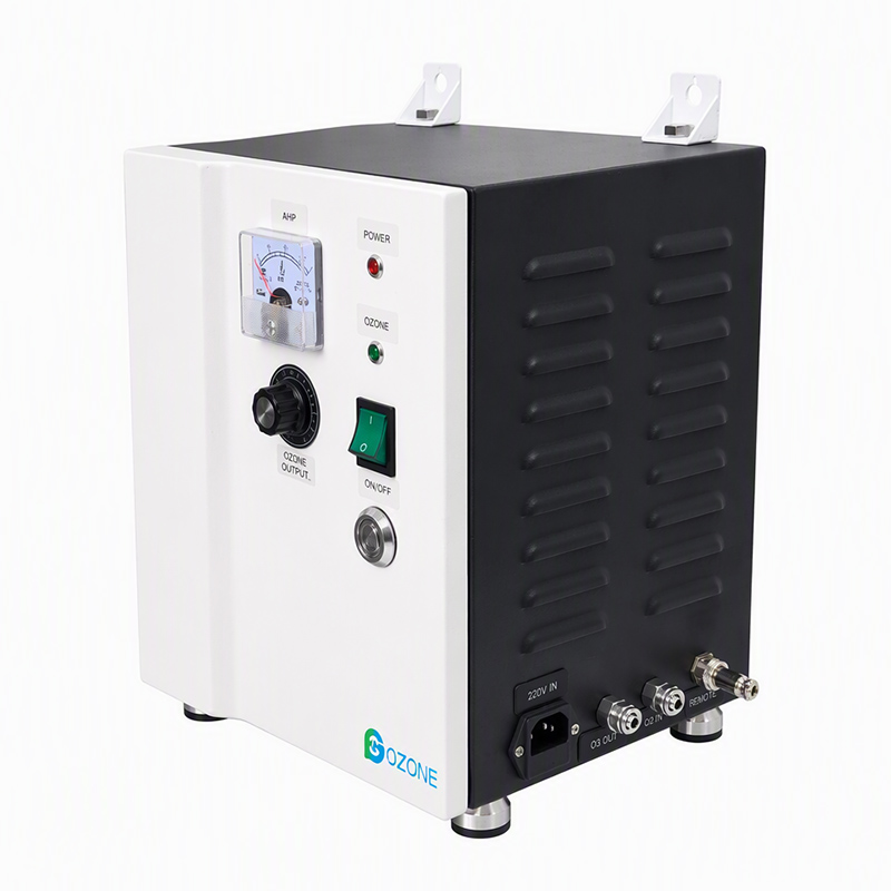 Flygoo 3-8G New Arrival Ozone Generator for Pool & Drinking Water Treatment