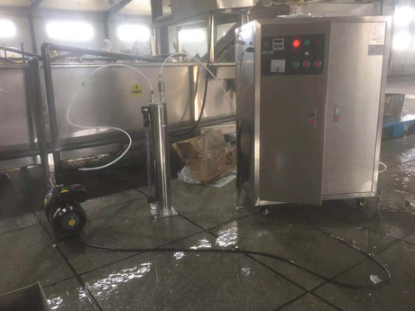 ozone generator for washing plant (4).jpg