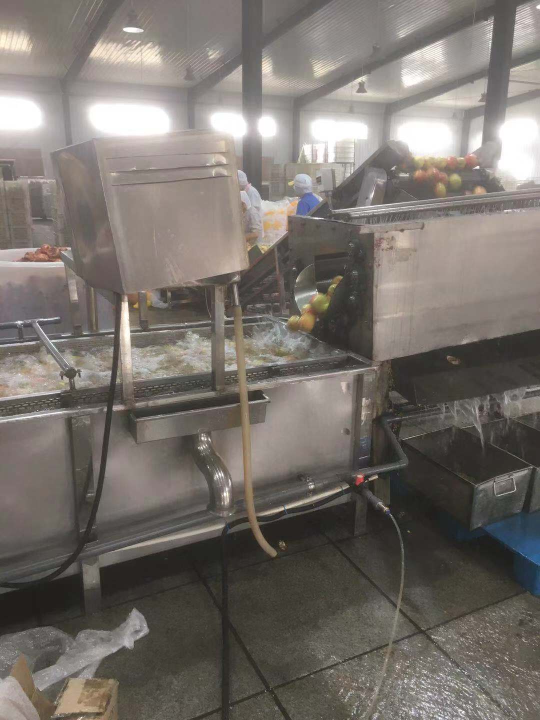 ozone generator for washing plant (2).jpg